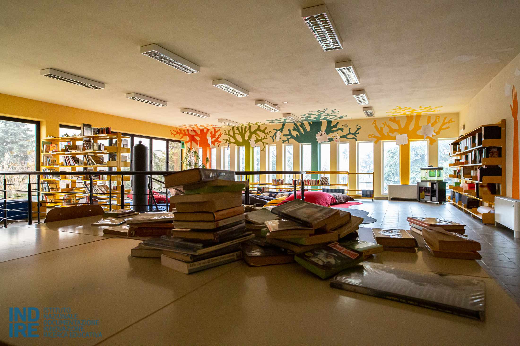 Wooranna Park Primary School: l’avventura di imparare